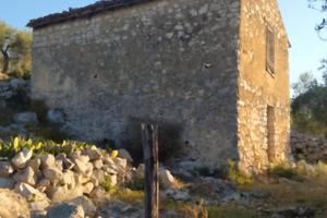 Uliveto con rudere urbano accatastato