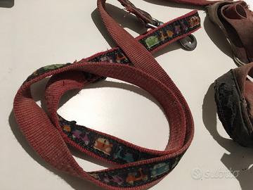 Guinzaglio, pettorina e collare per cane