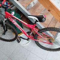 bicicletta Atala misura 24