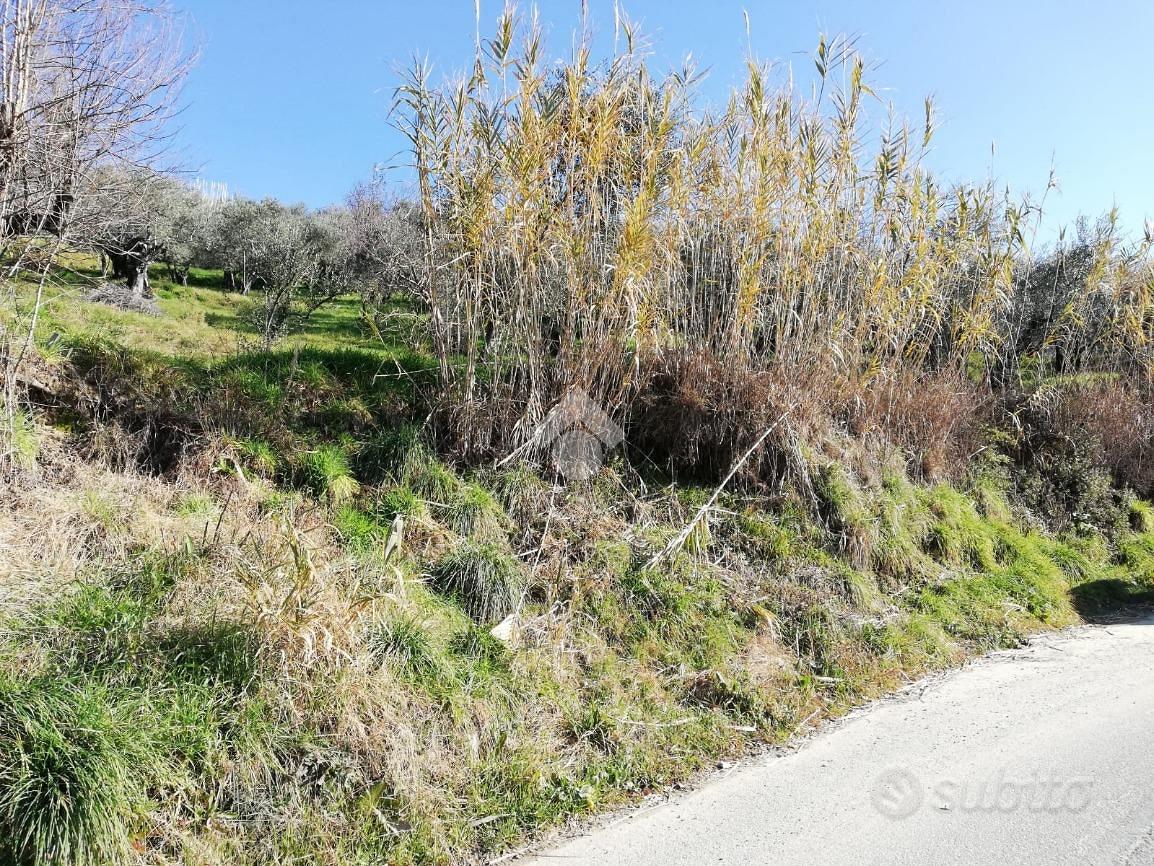 TER. RESIDENZIALE A OLEVANO ROMANO - Vista 4