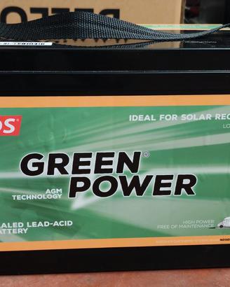 Batteria NDS Green Power GP100 - 12V 100AH - C20