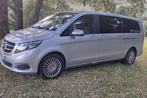 V250 EXTRALONG