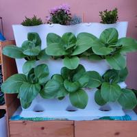 vasi verticali per orto, giardino verticale 
