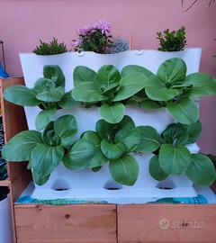 vasi verticali per orto, giardino verticale