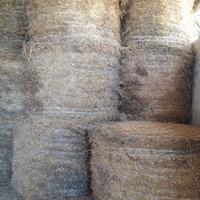 ROTOBALLE BALLONI DI PAGLIA