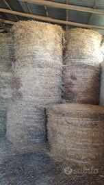 ROTOBALLE BALLONI DI PAGLIA