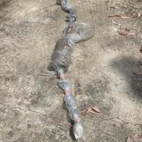 ricambio auto d'epoca Giulietta 