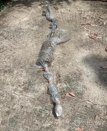 ricambio auto d'epoca Giulietta 