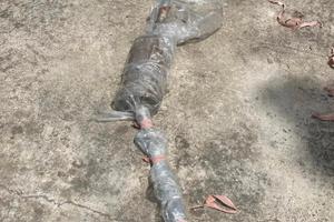 ricambio auto d'epoca Giulietta 