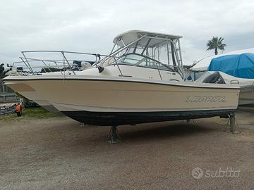 TROPHY 2002 Wa SUZUKI DF 150