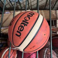 Palla da basket