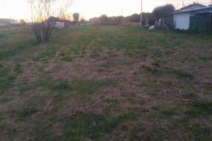 Terreno pianeggiante