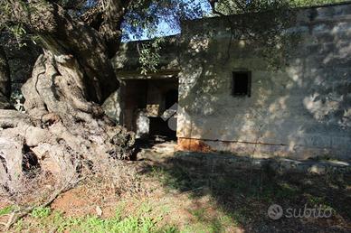 CASA DI CORTE A CAROVIGNO