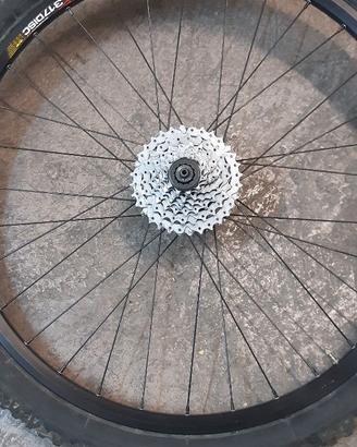 ruote mtb 26