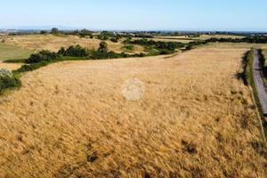 TER. AGRICOLO A ANGUILLARA SABAZIA