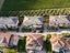 Immagine 24