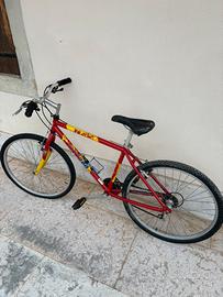 Bicicletta Mountain bike