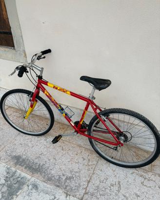 Bicicletta Mountain bike