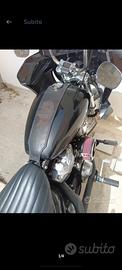 Harley softail