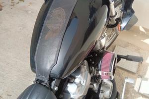 Harley softail