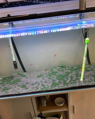 Acquario completo