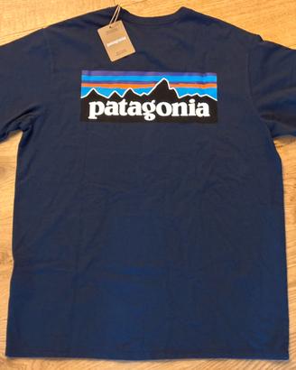 T-shirt PATAGONIA blu