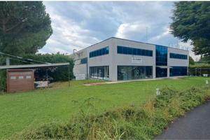 RGE 91/2025 Tribunale Verona