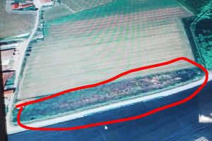 Terreno Agricolo a Fossano (CN)