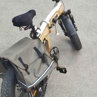 Bici elettrica 
