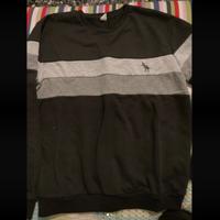 Felpa ragazzo con t-rex