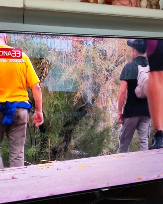 TV 49 pollici