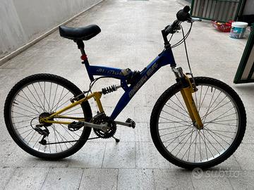 Bicicletta