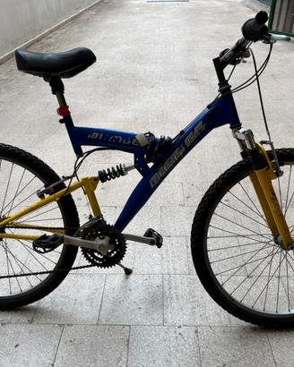 Bicicletta