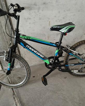 Bicicletta da Bambino