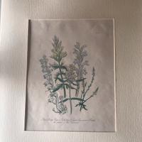 Litografia