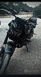 MT 07 2025