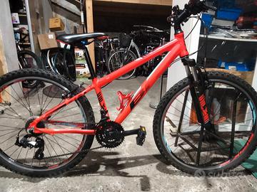 Mountain-bike 
