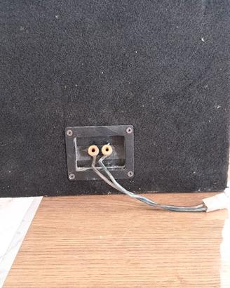 Subwoofer per auto