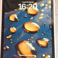 iPad 9 gen 256 gb  con accessori