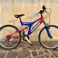 Bici MTB Lombardo Ragazzo