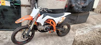 pit bike usata 
