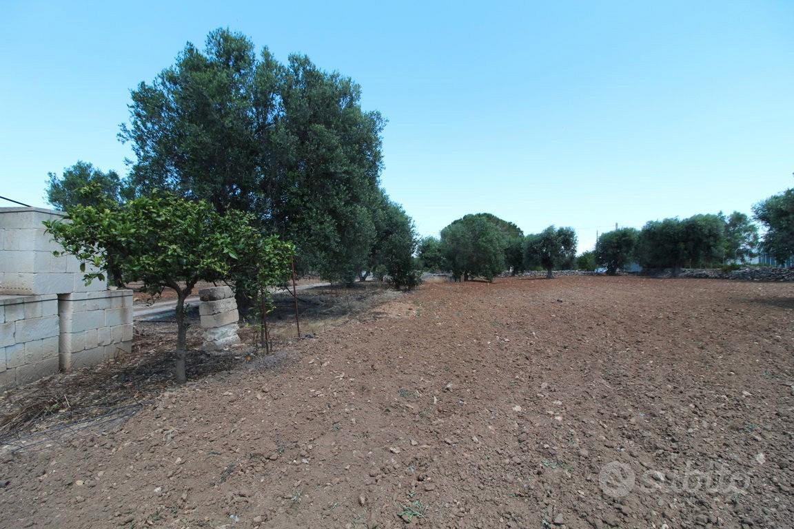 Terreno con trullo c.da Neviera San Marzano di S.G - Altro