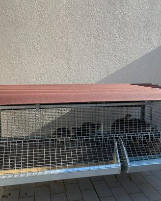 Gabbia per quaglie/conigli/pulcini