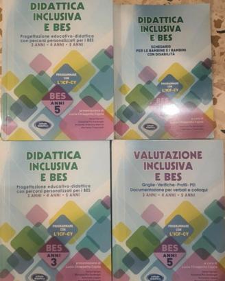 lotto 4 libri "didattica inclusiva bes nella scuol