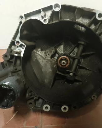 Cambio robotizzato Lancia Musa 843A1000