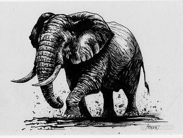 disegno a china elefante 