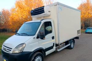 iveco Daily 65C60 cella frigo libero di licenza 