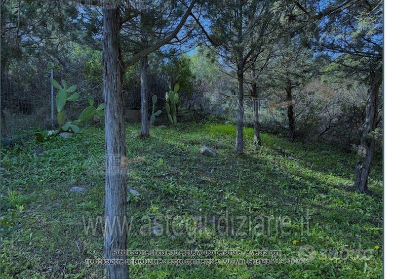 Terreno Agricolo Olbia [A4352462] - Vista 5