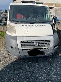 Fiat ducato frigo