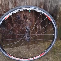 Ruota posteriore bici da corsa 700x23C con coperto